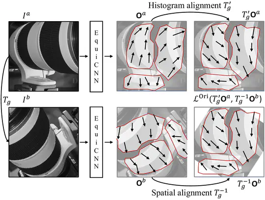 Fundamental Research - Invariance/Equivariance and Representation Learning
