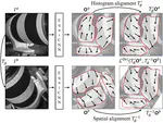 Fundamental Research - Invariance/Equivariance and Representation Learning